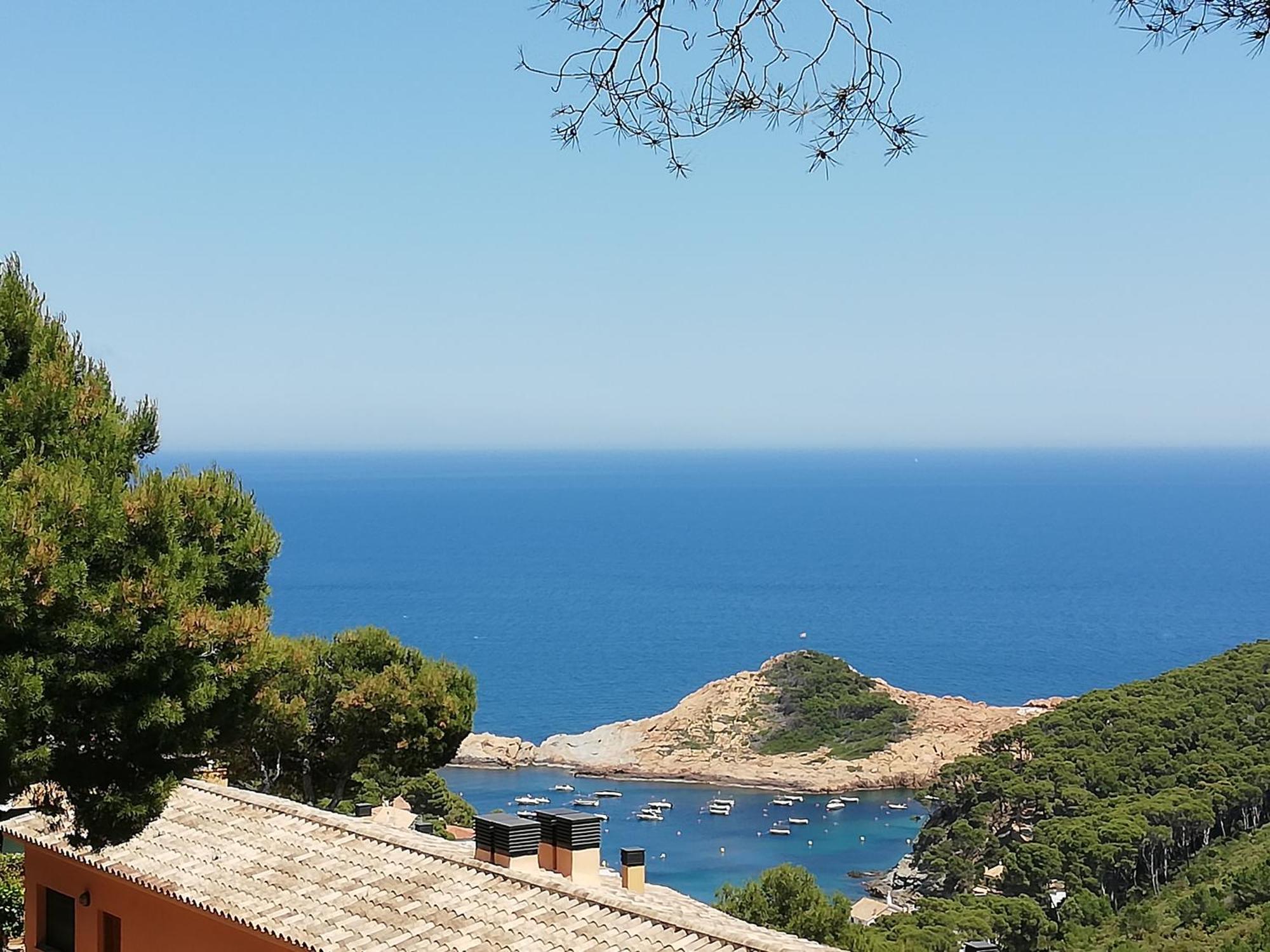 "La Terrasse De La Mer 8" -Climatisation-Wifi-Bbq -Piscine-Parking Begur Kültér fotó