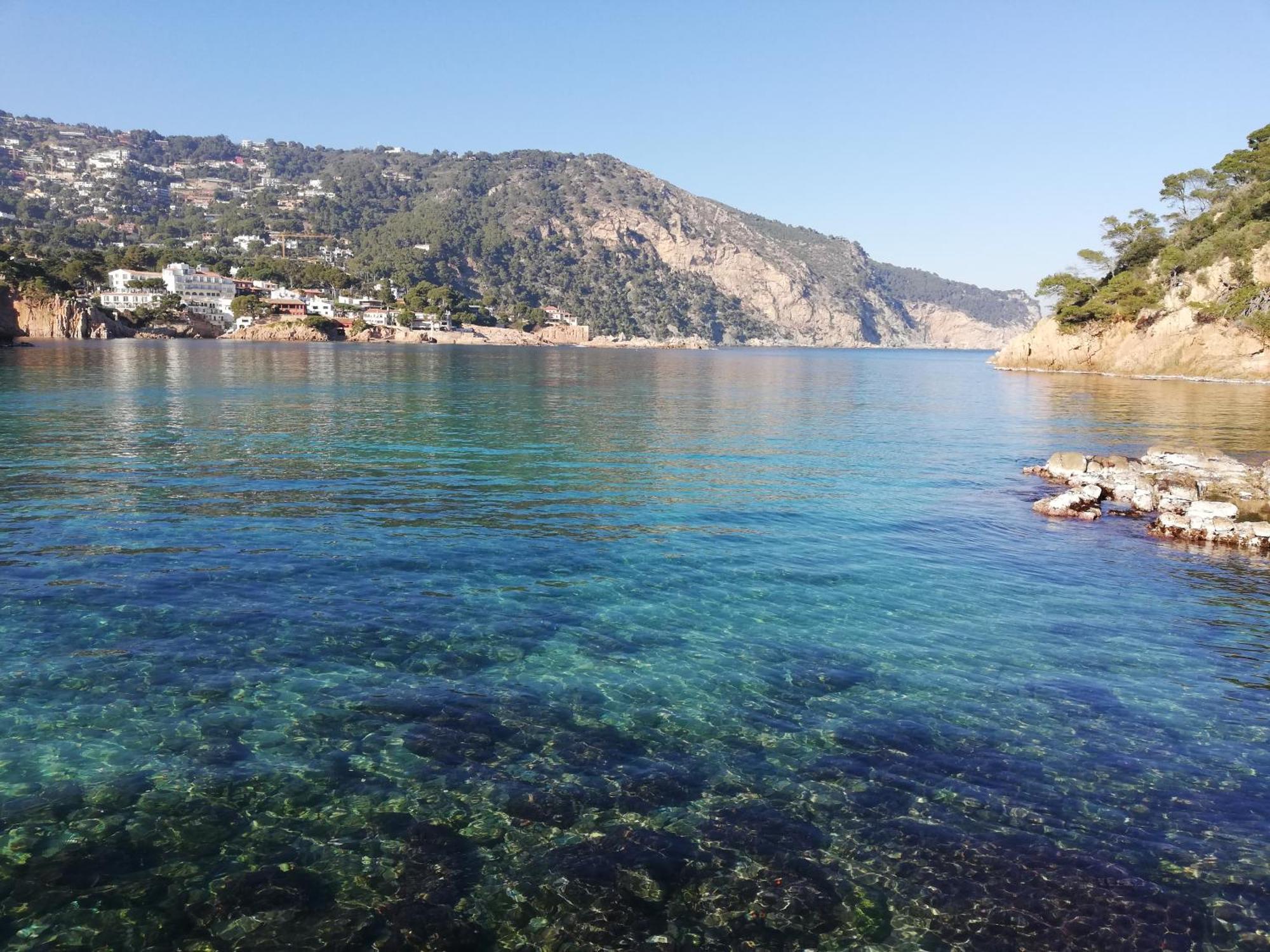 "La Terrasse De La Mer 8" -Climatisation-Wifi-Bbq -Piscine-Parking Begur Kültér fotó